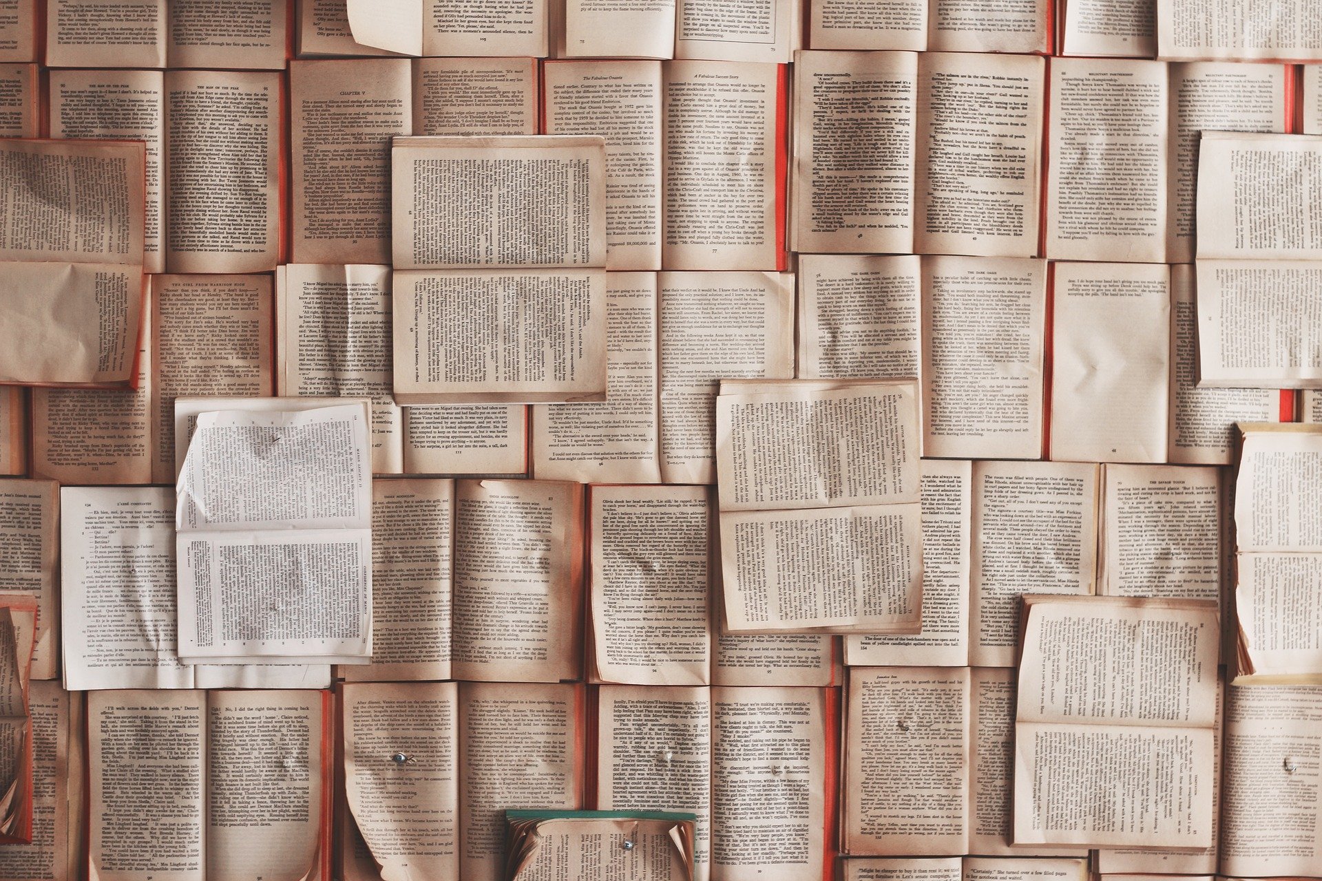 /2018-10-30-the-significance-of-incremental-reading-part-i/books-1245690_1920.jpg /2018-10-30-the-significance-of-incremental-reading-part-i/books-1245690_1920.jpg