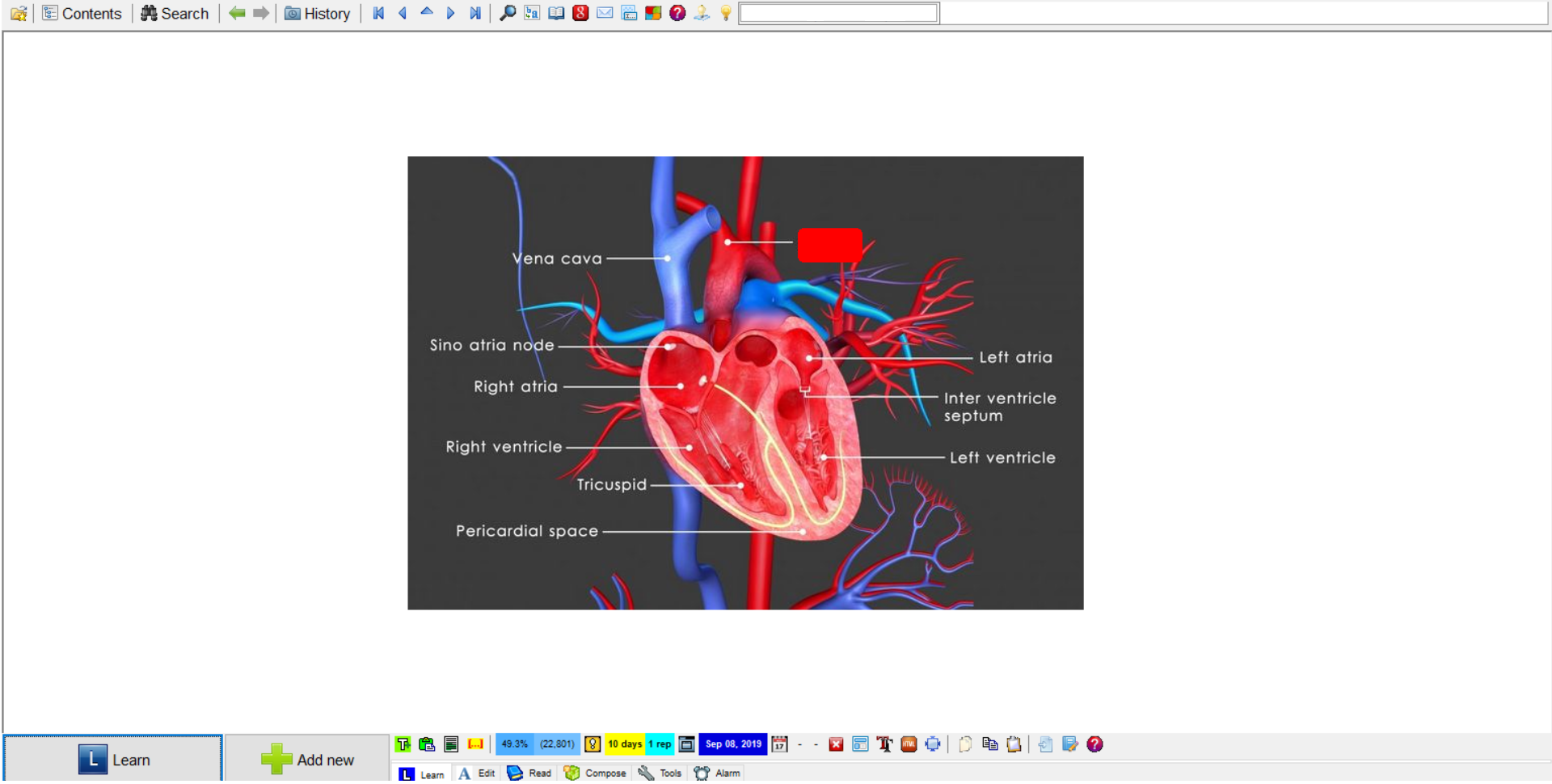 SuperMemo_Heart