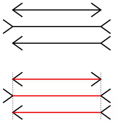 Muller-Lyerillusion ./images/MullerLyerIllusion.png